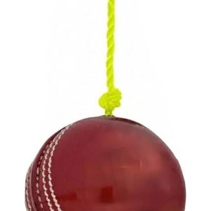 Hanging Ball for Cricket Practice